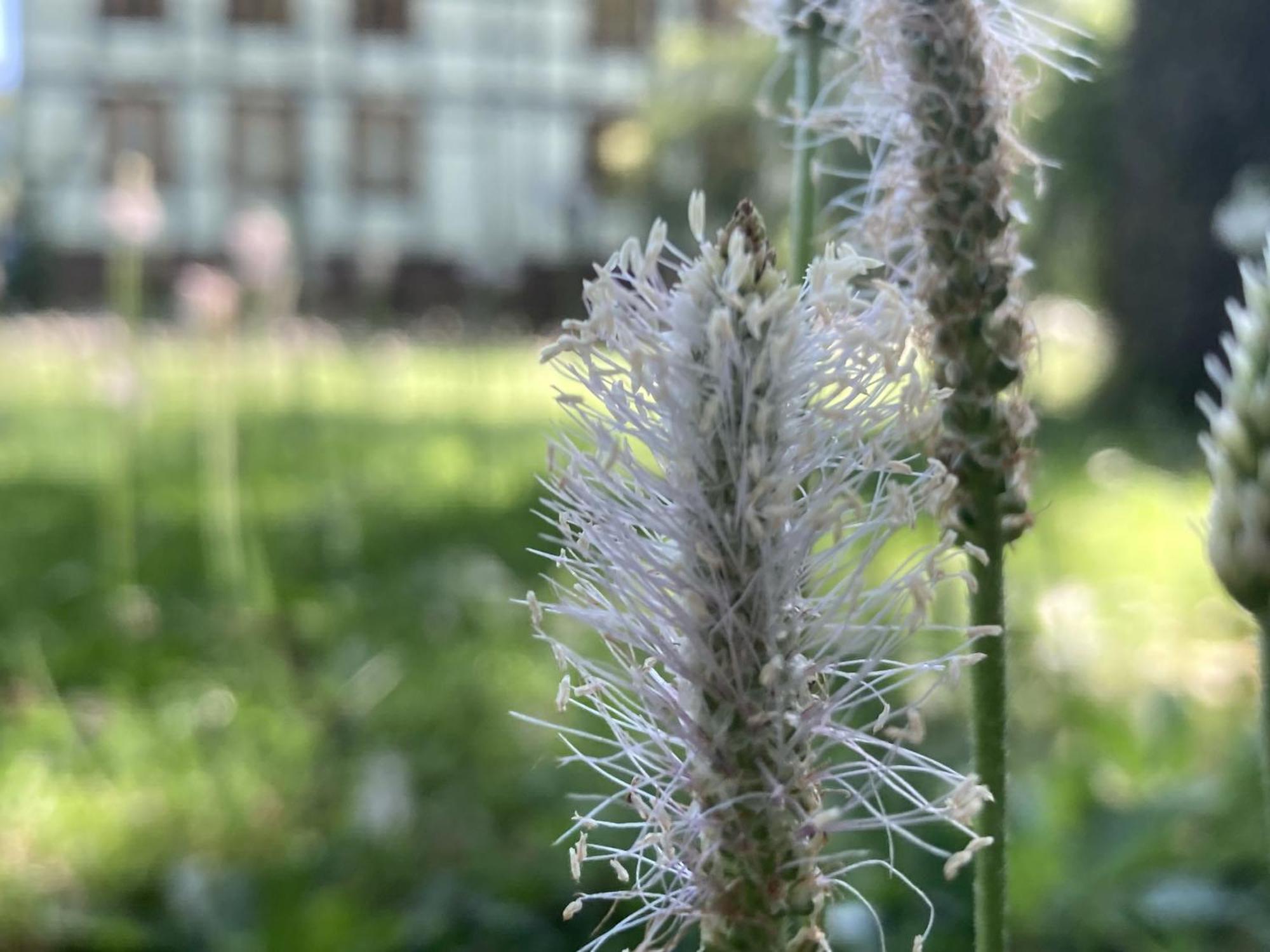 Poppenhaeuser Muehle Hofgeismar Exteriér fotografie